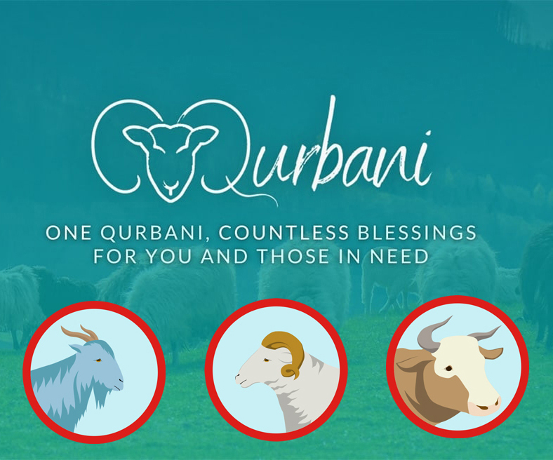 Qurbani.org
